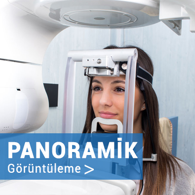 panoramik-gorunteleme